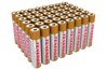 Retail package: 48pc Tenergy 1.5V Alkaline AAA Batteries